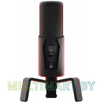 Микрофон Ritmix RDM-290 USB Eloquence картинка 10